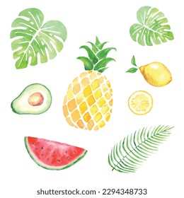 tropical set watercolor hand drawn isolated on white, vector