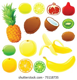 Tropical set without outlines, each in separated layer. Vector illustration.