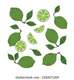 Tropical set of yellow limes and lime slices. Hand drawn limes pattern on white background. for fabric, drawing labels, print, wallpaper of children's room, fruit background