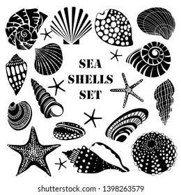 Tropical shells underwater icon set frame of sea shells .Summer concept with shells and sea stars. Vector design isolated elements on the white background.