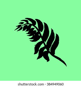 Tropical sign and palm symbol leaf collection. Botany silhouette palm leaf.