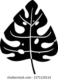 Tropical silhouette leaf on white background vector illustration hand draw desing