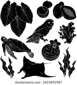 Tropical silhouette set. Hawaii, beach and summer related items. Hawaiian set, stingray, owl, turtle, seaweed, coral and papaya Design elements