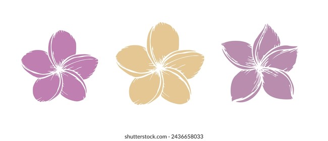 Tropical silhouette of vector plumeria flowers illustration on isolated background. Beautiful botanical hand painted exotic frangipani. For designers, spa decoration, postcards, wedding, greetings, t