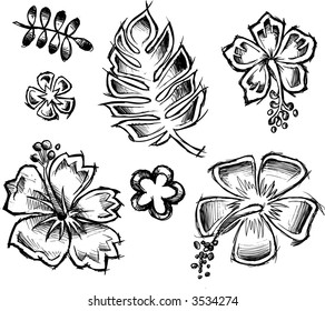 Tropical Sketch Elements Vector Illustration