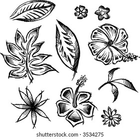 Sketch Floral Botany Collection Lupine Flower Stock Vector (Royalty ...