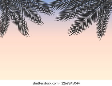 Tropical sky at sunset with palm branches