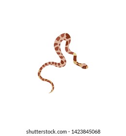 Tropical snake isolated on white background. Vector illustration
