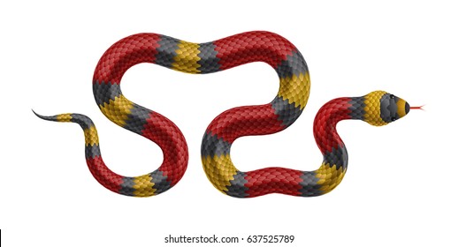 Tropical snake isolated on white background. Vector realistic illustration.