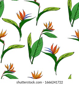 Tropical South Africa Strelitzia reginae flowers seamless pattern. Stylized colorful flower of Royal Strelitzia, Bird of Paradise, Crane Flower. Exotic jungle .Vector illustration 