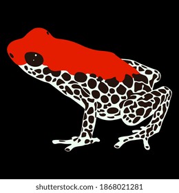 Tropical South American dart poison frog. Ranitomeya. Isolated vector illustration. Flat cartoon style.	