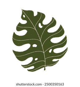 Ilustración de filodendro de hoja partida tropical.