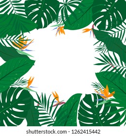Tropical square frame with exotic green leaves and flower of Strelitzia. Summer template for advertising, design, party, poster, print, web. Vector plant card isolated on white background. 