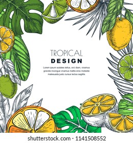 Tropical square frame with green palm leaves, lemon, lime, orange. Vector hand drawn sketch illustration of jungle exotic plants and citrus fruits. Poster, banner or greeting card template.