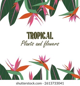 Tropical square layout with floral elements placed along the bottom and top borders. Botanical frame template for promotions, social media announcements or summer-themed invites. Vector illustration