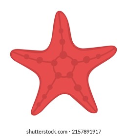 8,190 Starfish clipart Images, Stock Photos & Vectors | Shutterstock