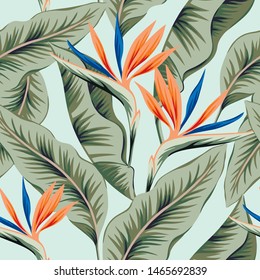 Tropical strelitzia flowers, banana palm leaves, light blue background. Vector seamless pattern. Jungle foliage illustration. Exotic plants. Summer beach floral design. Paradise nature