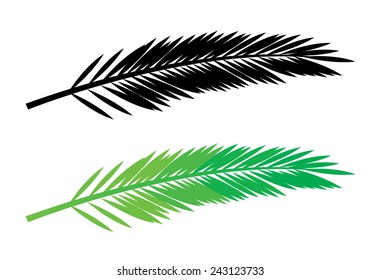 tropical, subtropical palm leaf silhouette vector illustration
