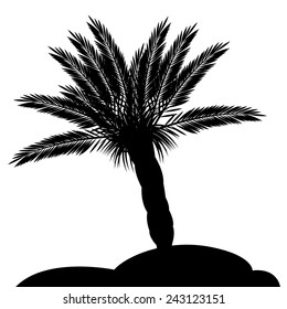 tropical, subtropical palm silhouette vector illustration