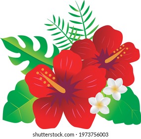 Tropical subtropical plant flower illustration