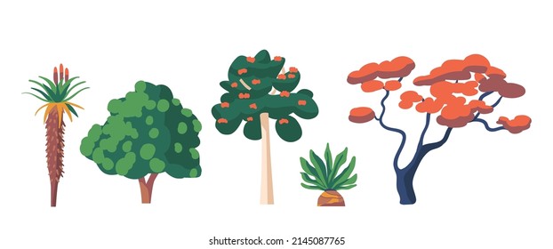 Bioma Tropical y Subtropical del bosque tropical, África Natural, Vegetación de la selva tropical Áloe Ferox, Marula o Sclerocarya Birrea, Tulipanes Plantas Ecosistémicas Exóticas de África. Ilustración del vector de dibujos animados