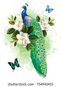 Tropical summer arrangement with peacock, magnolia flowers and butterflies. Vector illustration.