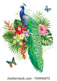 Tropical summer arrangement with peacock, palm leaves, exotic flowers and butterflies. Vector illustration.