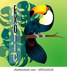 Tropical summer arrangement with toucan and exotic palm leaves. Can be used for greeting cards, stickers, logo,  banners, t-shirt design. Vector illustration. EPS 10.