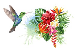 Organisation Tropicale Estivale Avec Colibri, Feuilles De Palmier, Fleurs Exotiques Et Papillons. Illustration Vectorielle.