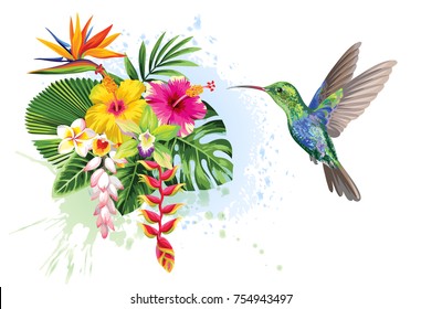 Tropical summer arrangements with  humming-bird, palm leaves, exotic flowers and butterflies. Vector illustration.