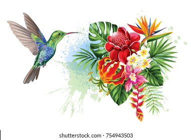 Aves tropicales con pájaros, hojas de palma, flores exóticas y mariposas. Ilustración vectorial.