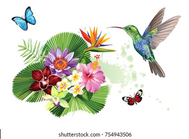 Aves tropicales con pájaros, hojas de palma, flores exóticas y mariposas. Ilustración vectorial.