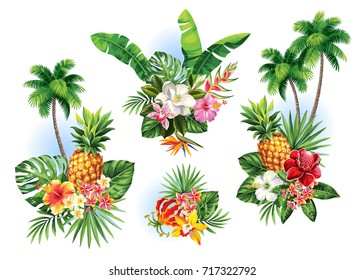 Arreglos tropicales de verano con palmeras, hojas, flores exóticas y frutas. Ilustración vectorial.