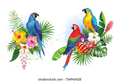 Tropical summer arrangements with parrots, palm leaves and exotic flowers. Vector illustration.