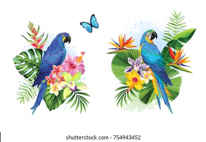 Tropical summer arrangements with parrots, palm leaves and exotic flowers. Vector illustration.