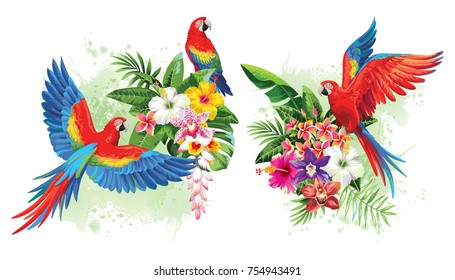 Arreglos tropicales de verano con loros, hojas de palma, flores exóticas y mariposas. Ilustración vectorial.