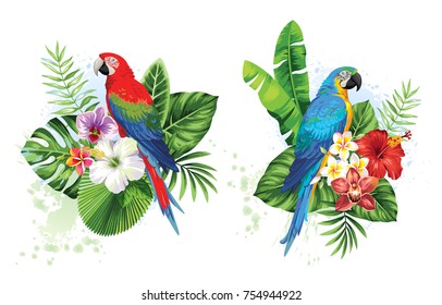 Arreglos tropicales de verano con loros, hojas de palma y flores exóticas. Ilustración vectorial.