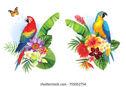 Arreglos tropicales de verano con loros, hojas de palma y flores exóticas. Ilustración vectorial.