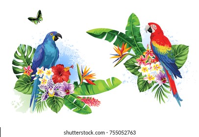 Arreglos tropicales de verano con loros, hojas de palma y flores exóticas. Ilustración vectorial.