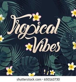 Tropical summer background