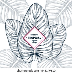 Tropical summer background. Botanical hand drawn illustration. Template design for sail, wedding save date, envelope, valentine, for party, holiday decor. Collection of sketch object. Engraving style