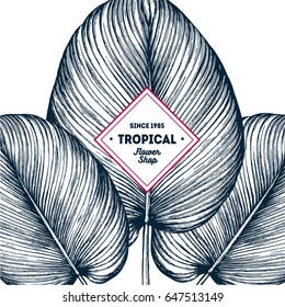 Tropical summer background. Botanical hand drawn illustration. Template design for sail, wedding save date, Christmas, envelope, valentine, for party, holiday decor. Collection of sketch object.