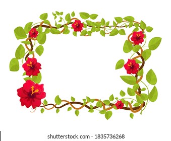 Tropical summer background with jungle plants. Liana branches frames and rainforest tropical leaves vector illustration