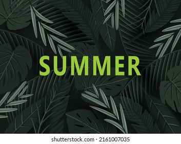 tropical summer background with leaf 