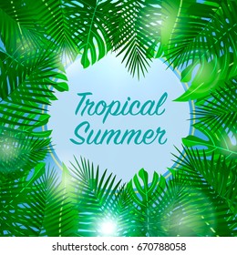 Tropical summer background with leaves. Design for banner, voucher discount, invitation card, backdrop and template design. Vector illustration.
