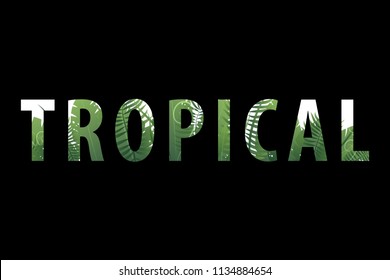 Tropical Summer Backgrounds,Vector,Illustration.