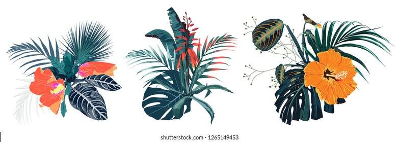 Tropical summer bouquet with palm leaves and exotic flowers. Orange flowers composition isolated on white background.