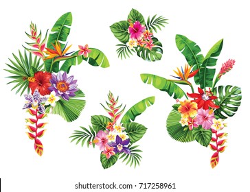 Tropical summer bouquet with palm leaves and exotic flowers. Vector illustration.