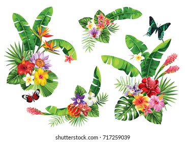 Tropical summer bouquet with palm leaves, exotic flowers and butterflies. Vector illustration.
