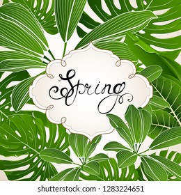 Tropical summer bright green flyer with monster leaves, palm trees. Invitation to a party in an exotic style.